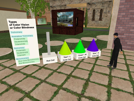 Types of Color Vision Deficiency